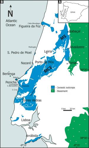 Discussion on ‘Middle Jurassic multi-scale transgressive–regressive cycles: An example from the Lusitanian Basin’, by Magalhães et al., Depositional Record, 2023, 9(1), 174–202