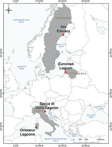 Direct contribution of invertebrate holobionts to methane release from coastal sediments