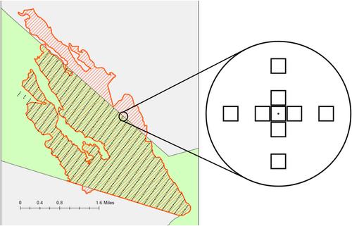 Elevation, canopy cover and grass cover structure patterns of seedling establishment in a subtropical post-fire restoration