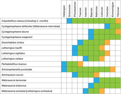 Comment on: Magalhães et al., Middle Jurassic multi-scale transgressive–regressive cycles: An example from the Lusitanian Basin, The Depositional Record, 9, 174–202