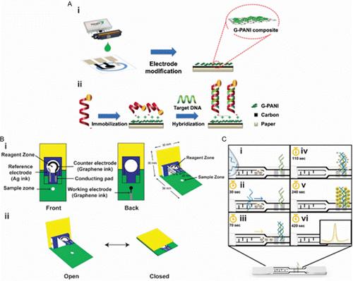 Point-of-Care Testing (POCT) Devices for DNA Detection: A Comprehensive Review