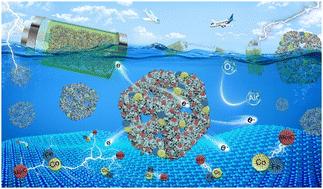 A macroporous carbon nanoframe for hosting Mott–Schottky Fe–Co/Mo2C sites as an outstanding bi-functional oxygen electrocatalyst†