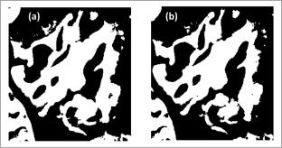 Method for assessing spectral indices efficiency for mapping tropical wetlands—SIA_MW