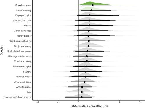 Tropical forest mammal occupancy and functional diversity increase with microhabitat surface area