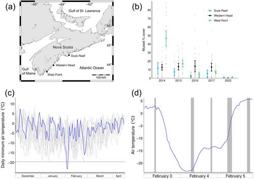 Mass disappearance of intertidal mussels after an unusual winter cold snap in eastern Canada