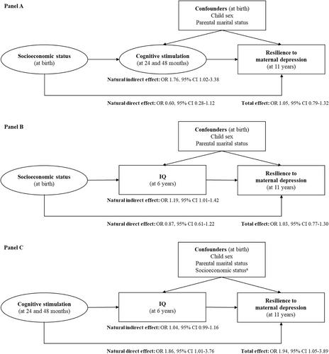 Pathways from maternal depression to child resilience: Socioeconomic, family, and individual factors in the 2004 Pelotas (Brazil) birth cohort