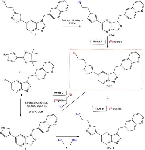 Synthesis and preclinical evaluation of a selective MET kinase positron emission tomography tracer