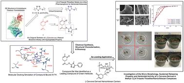 Rational design and synthesis of l-carvone-derived 4-methyl-1,2,4-triazole-thioether/nanochitosan complexes as potent nanopesticides for sustainable and efficient herbicidal application†