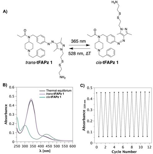 Development of Photoswitchable Tethered Ligands that Target the μ-Opioid Receptor