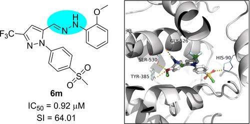 Design of Balanced Cyclooxygenase Inhibitors Based on Natural Anti-inflammatory Ascidian Metabolites and Celecoxib