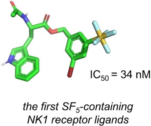 Moving out of CF3-Land: Synthesis, Receptor Affinity, and in silico Studies of NK1 Receptor Ligands Containing a Pentafluorosulfanyl (SF5) Group