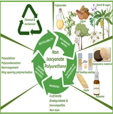 Innovations in applications and prospects of non-isocyanate polyurethane bioplastics