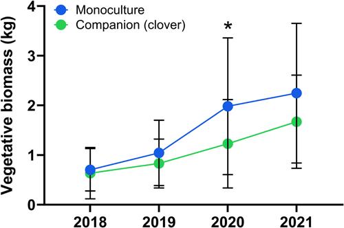 Integrating grafting and companion planting to improve crop performance in intensive high-tunnel tomato production