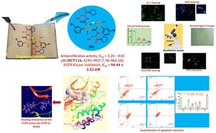 Development of trisubstituted thiophene-3-arboxamide selenide derivatives as novel EGFR kinase inhibitors with cytotoxic activity†