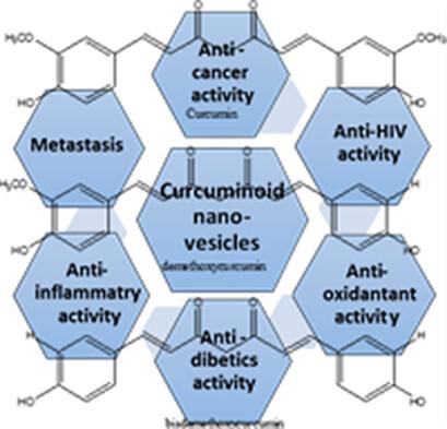 Curcuminoid Nanovesicles as Advanced Therapeutics