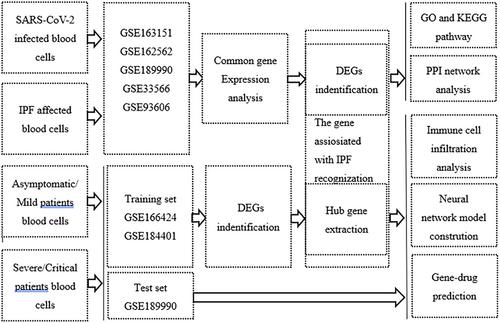 Bioinformatics approach to identify the hub gene associated with COVID-19 and idiopathic pulmonary fibrosis