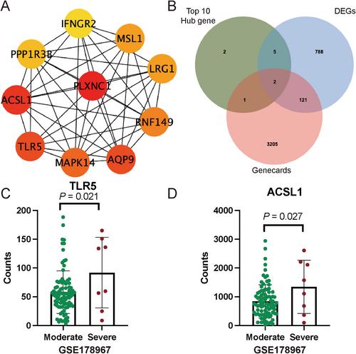 Identification of toll-like receptor 5 and acyl-CoA synthetase long chain family member 1 as hub genes are correlated with the severe forms of COVID-19 by Weighted gene co-expression network analysis