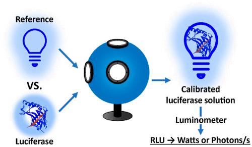 Luciferase Calibrants Enable Absolute Quantitation of Bioluminescence Power