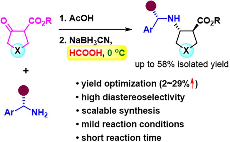 Optimized stereoselective and scalable synthesis of five-membered cyclic trans-β-amino acid building blocks via reductive amination