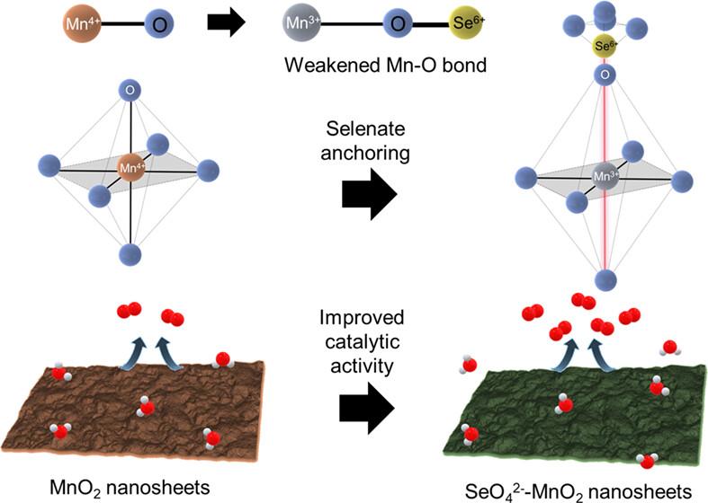 Optimization of oxygen evolution electrocatalytic activity of metal oxide nanosheet via surface modification