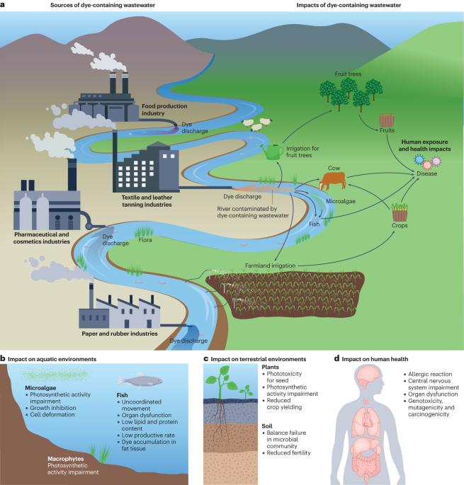 Environmental impacts and remediation of dye-containing wastewater