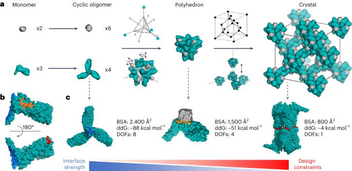 Accurate computational design of three-dimensional protein crystals