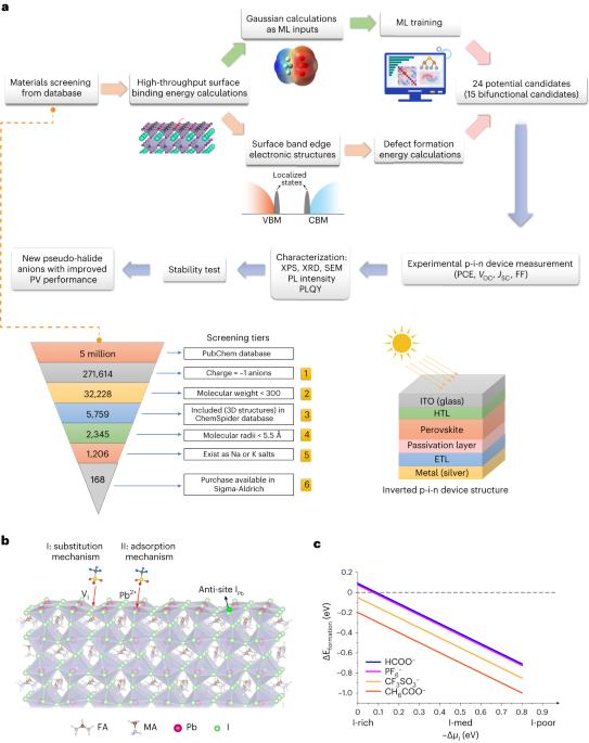 Anion optimization for bifunctional surface passivation in perovskite solar cells