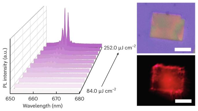 Tin instead of lead for stable lasers