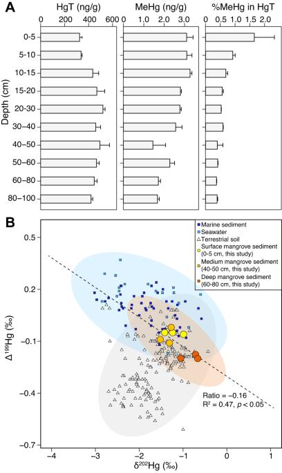 Phylogenetic and ecophysiological novelty of subsurface mercury methylators in mangrove sediments