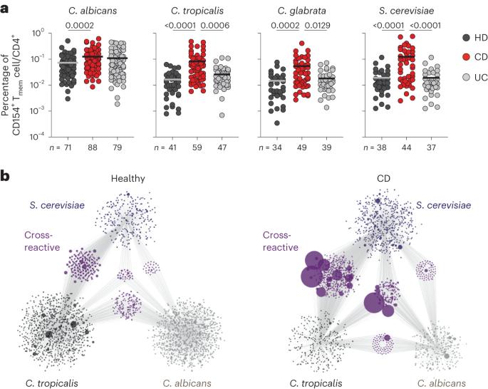 Dietary and commensal yeasts drive aberrant T cell responses in Crohn’s disease