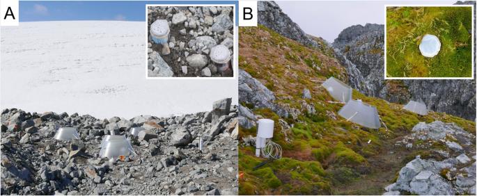 Rapid growth rate responses of terrestrial bacteria to field warming on the Antarctic Peninsula