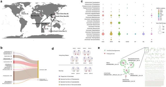 Genomic and transcriptomic insights into complex virus–prokaryote interactions in marine biofilms