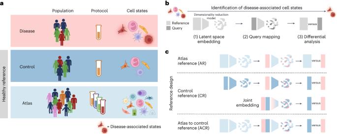 Precise identification of cell states altered in disease using healthy single-cell references