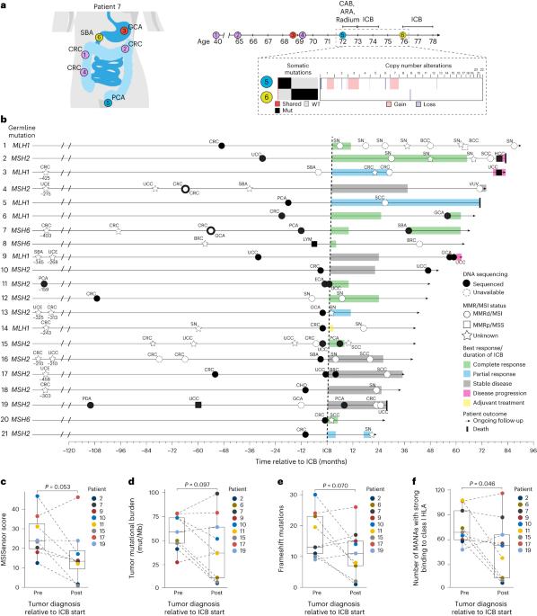 Neoplasia risk in patients with Lynch syndrome treated with immune checkpoint blockade