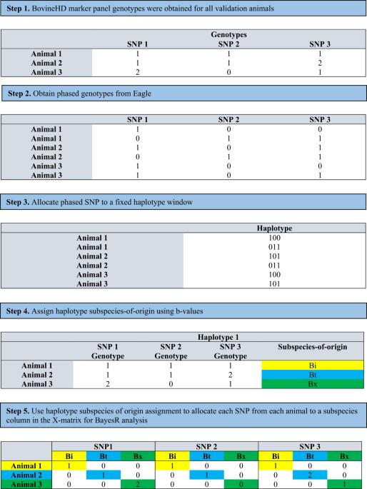 Concurrently mapping quantitative trait loci associations from multiple subspecies within hybrid populations