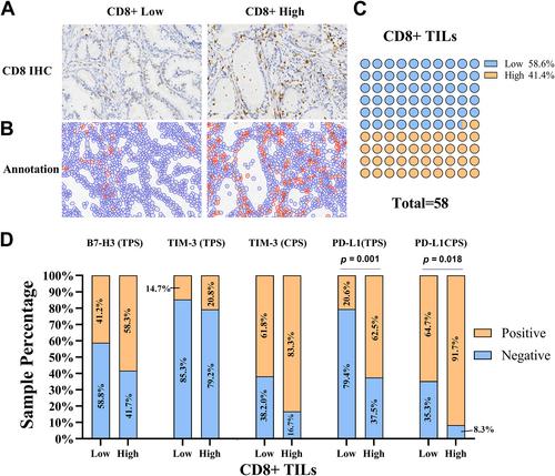 Expression of B7-H3 and TIM-3 in gastric-type endocervical adenocarcinoma: prevalence, association with PD-L1 expression, and prognostic significance