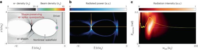 Coherence and superradiance from a plasma-based quasiparticle accelerator