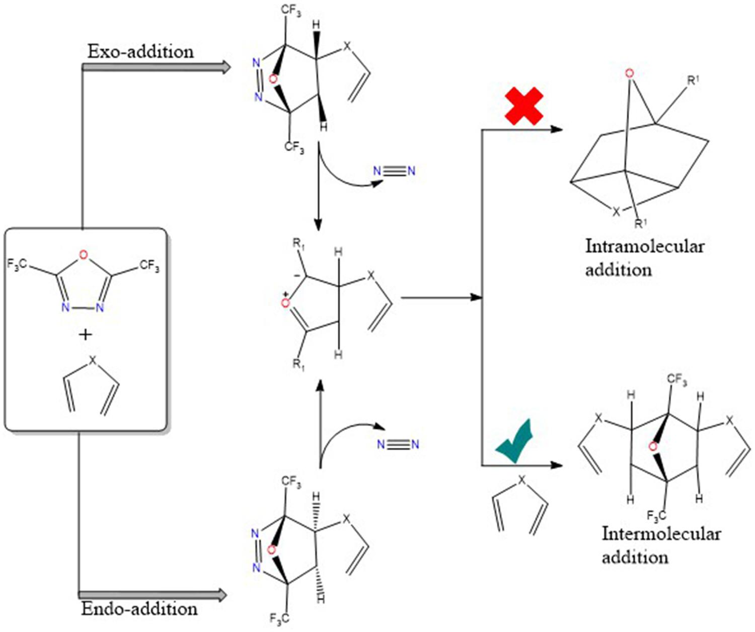 Tandem [4+2]/retro[3+2]/[3+2] cycloaddition reactions of fluorinated-oxadiazoles with conjugated, unconjugated, cyclic, and acyclic dienes