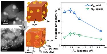 Operando insights into correlating CO coverage and Cu–Au alloying with the selectivity of Au NP-decorated Cu2O nanocubes during the electrocatalytic CO2 reduction†