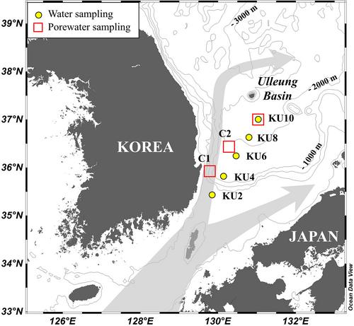 Significant benthic fluxes of bioavailable dissolved amino acids to the ocean: Results from the East/Japan Sea