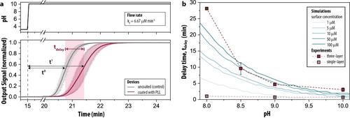 Polylysine-Coated Surfaces Drive Competition in Chemical Reaction Networks to Enable Molecular Information Processing