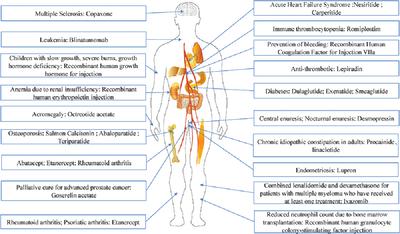 Advances in biosynthesis of peptide drugs: Technology and industrialization