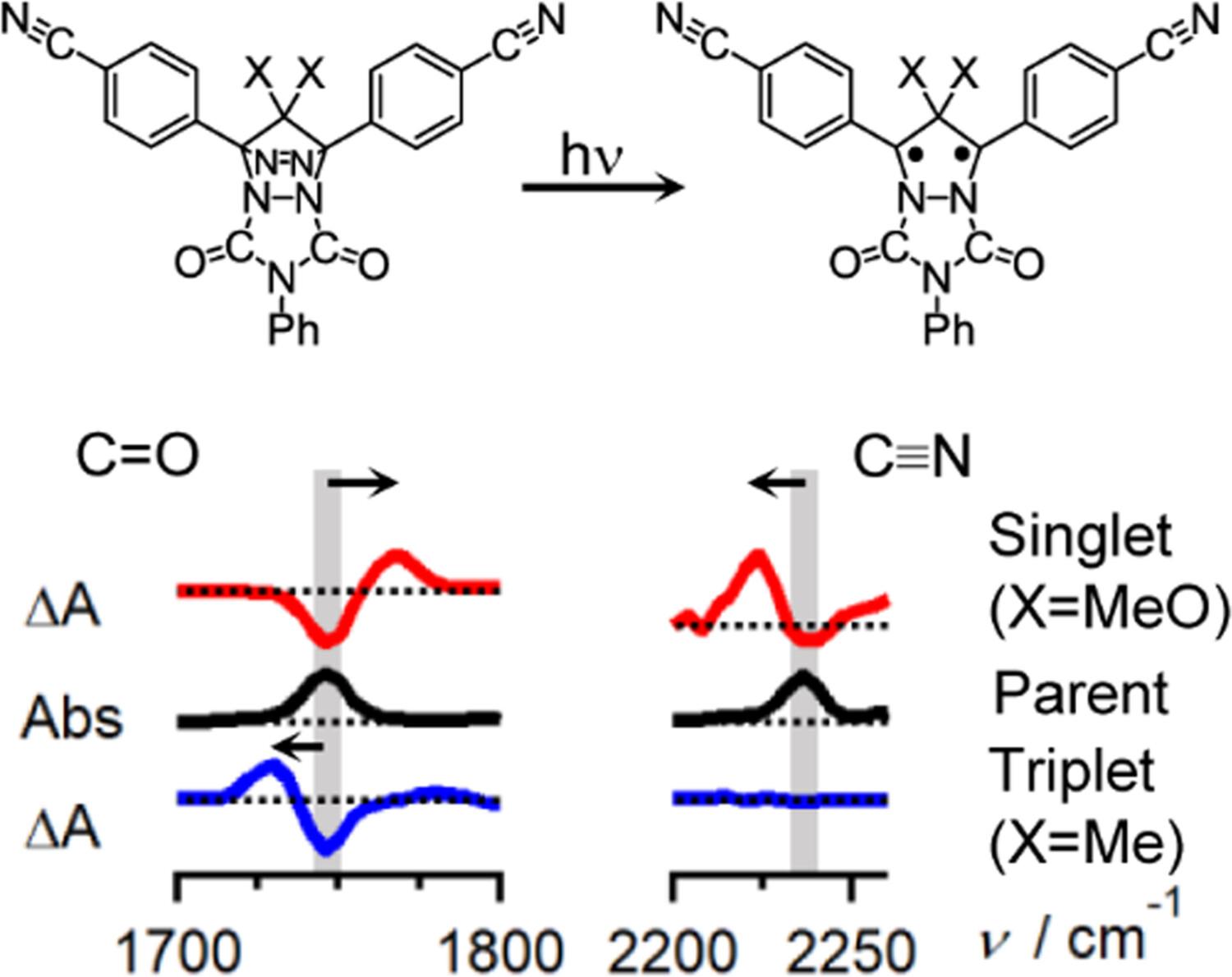 Substituted effects on bonding characteristics of cyclopentane-1,3-diyl diradicals monitored by time-resolved infrared spectroscopy