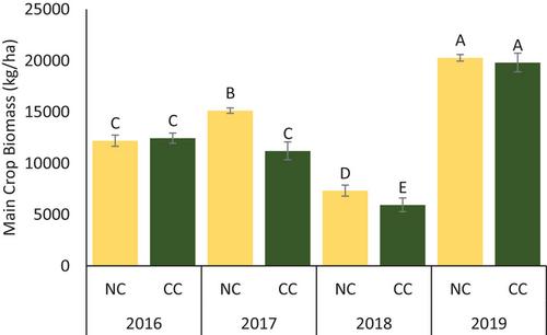 Cover crops impact phosphorus cycling and environmental efficiency in a corn–soybean system