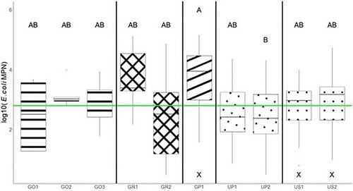 Escherichia coli efflux from rangeland ecosystems in the southcentral Great Plains of the United States