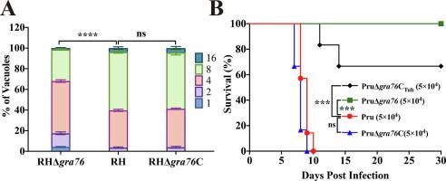 A newly characterized dense granule protein (GRA76) is important for the growth and virulence of Toxoplasma gondii