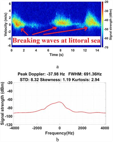 Radar signatures of sea lions at K-band and W-band