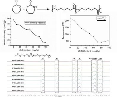 Regulation of ester contents enabled tunable thermal and mechanical properties of poly(ester amide)