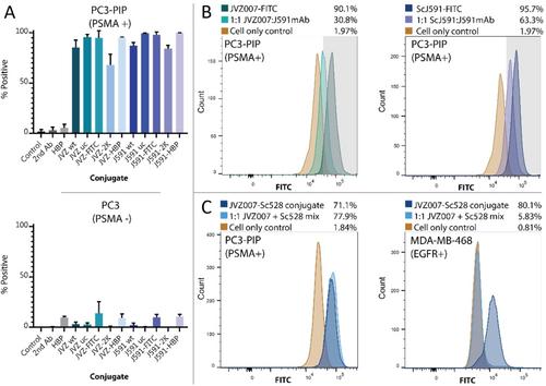 Click-on Antibody Fragments for Customisable Targeted Nanomedicines – Site-specific Tetrazine and Azide Functionalisation through Non-canonical Amino Acid incorporation