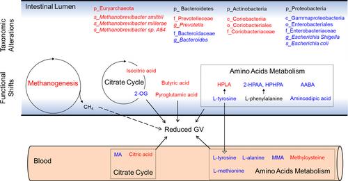 Washed microbiota transplantation reduces glycemic variability in unstable diabetes